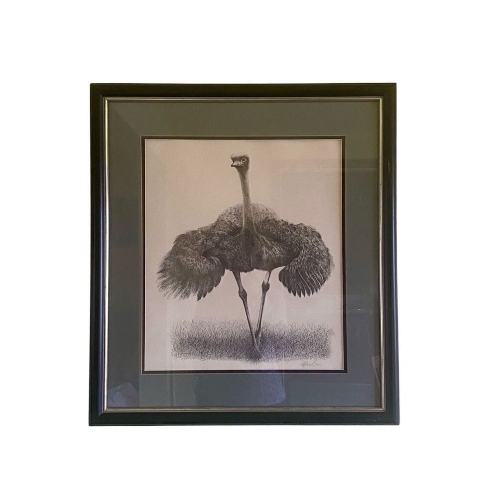 Ostrich Etching Print signed Warren Davis 23” x 25”